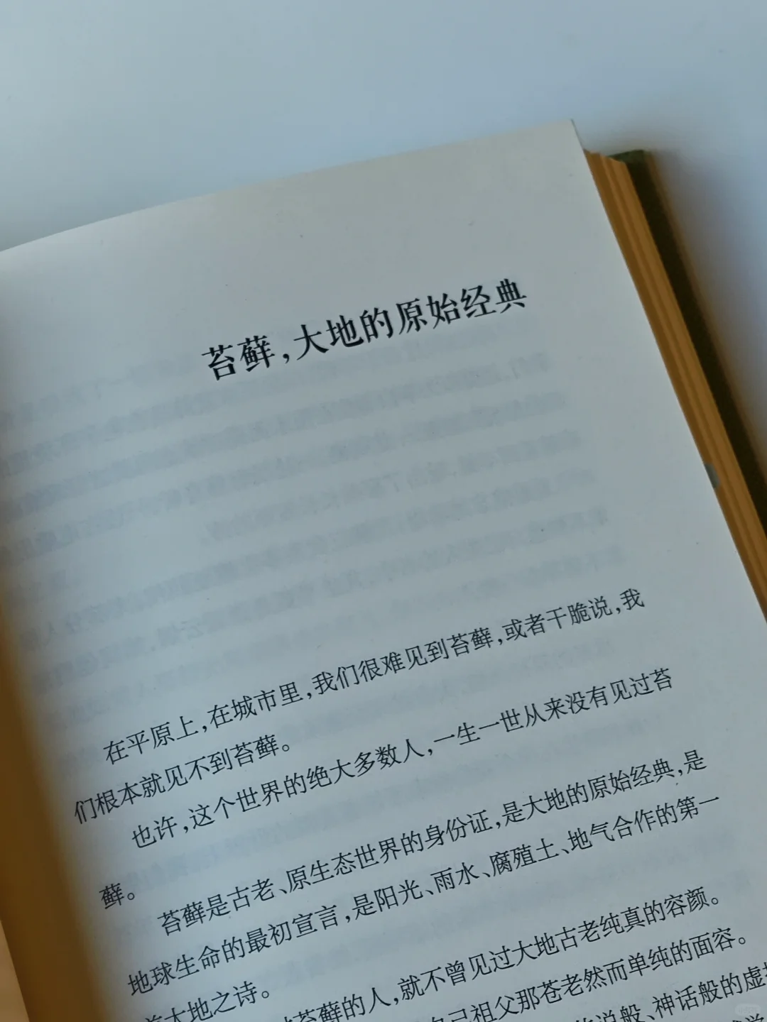 一本好冷门的植物散文🌿文字好美好灵动啊
