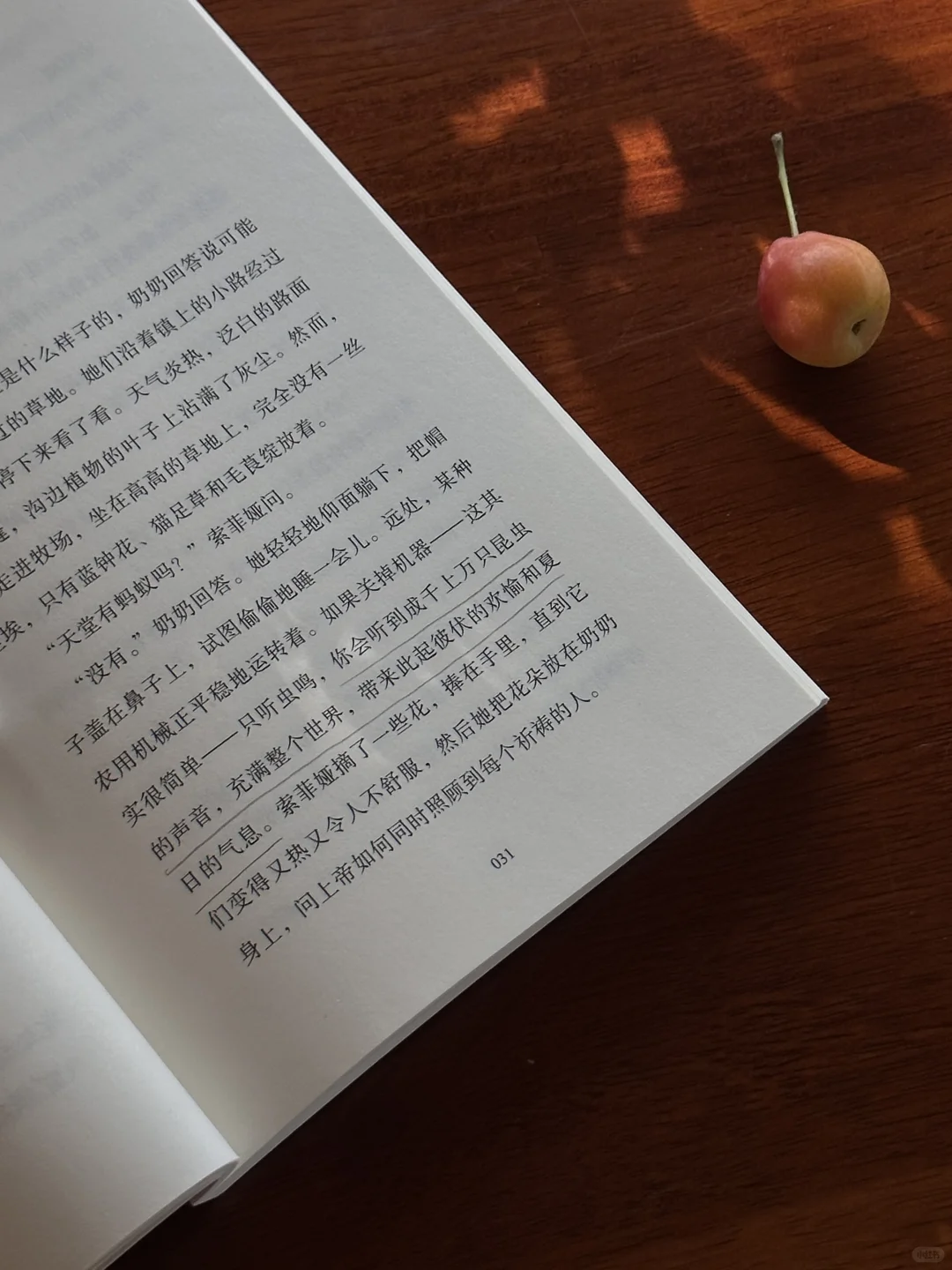 如果可以永恒，那就是夏天吧。