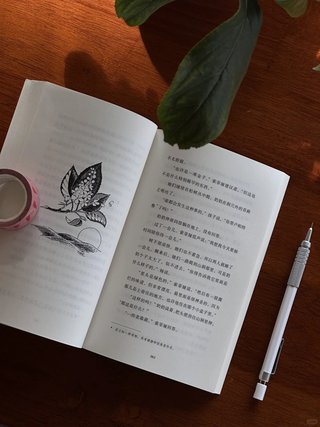 如果可以永恒，那就是夏天吧。