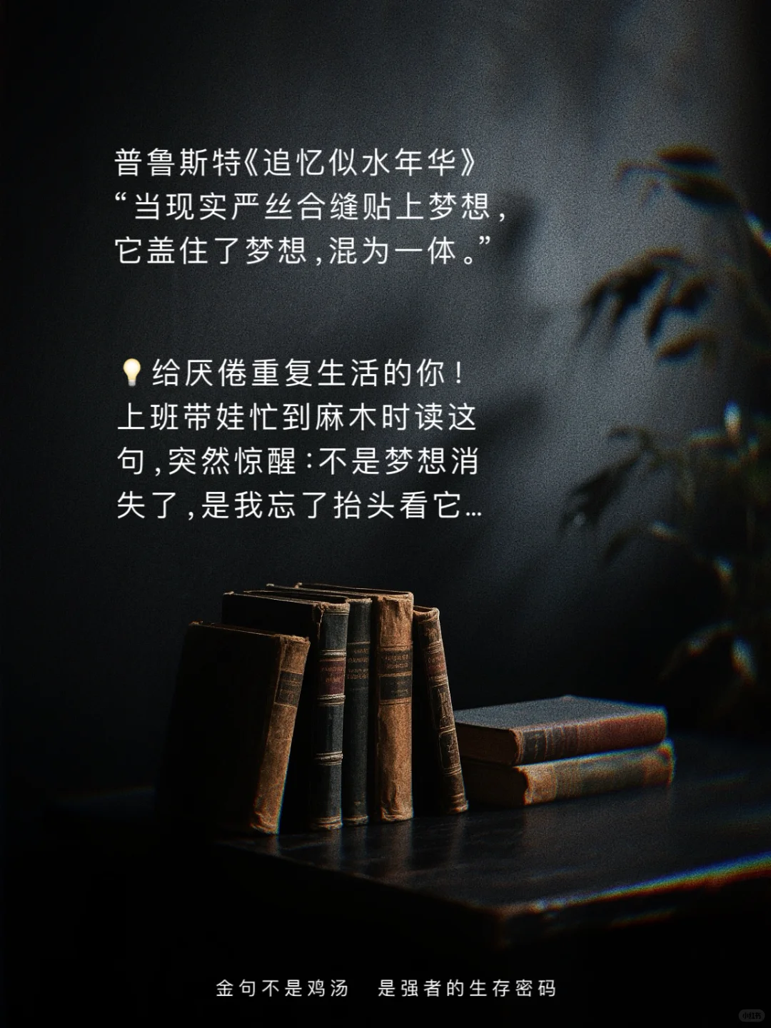 世界名著顶级文笔｜欧洲篇｜封神金句