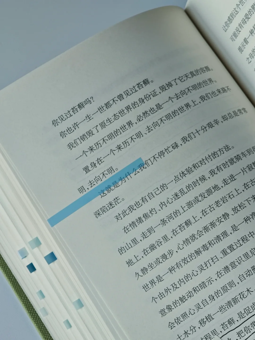 一本好冷门的植物散文🌿文字好美好灵动啊