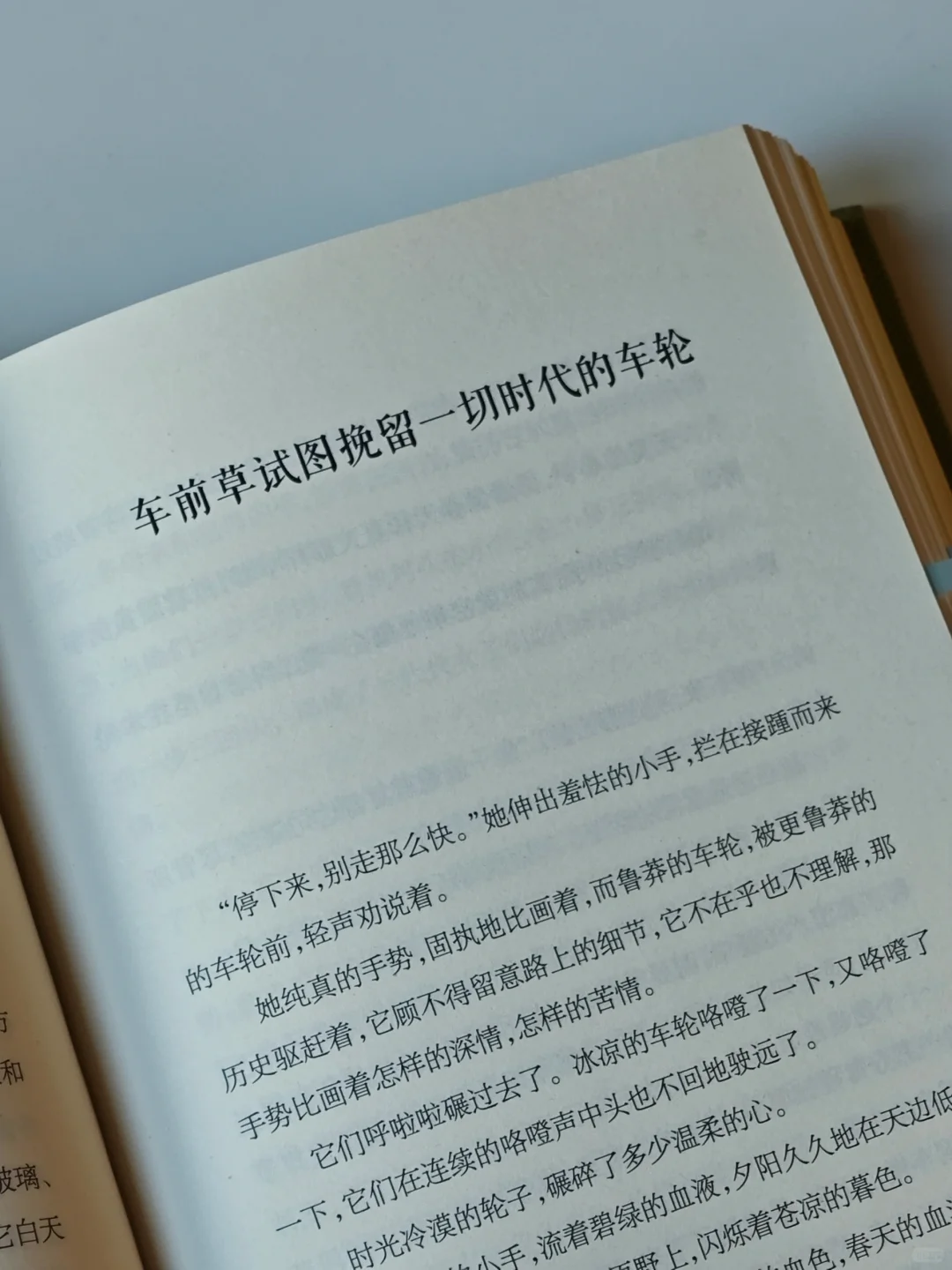 一本好冷门的植物散文🌿文字好美好灵动啊