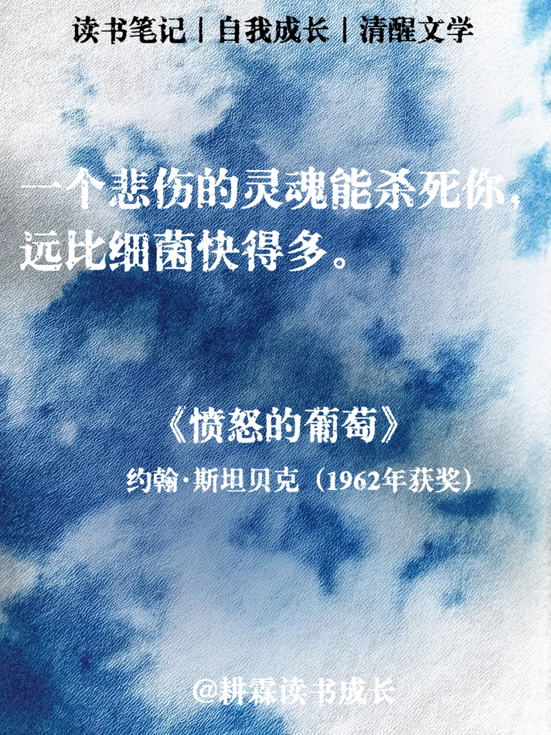 诺贝尔文学奖无敌震撼的顶级文笔
