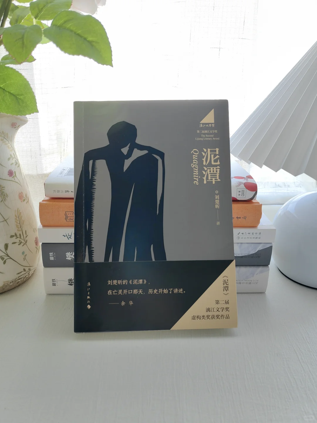 刘楚昕《泥潭》我们都在泥里，却假装在岸上