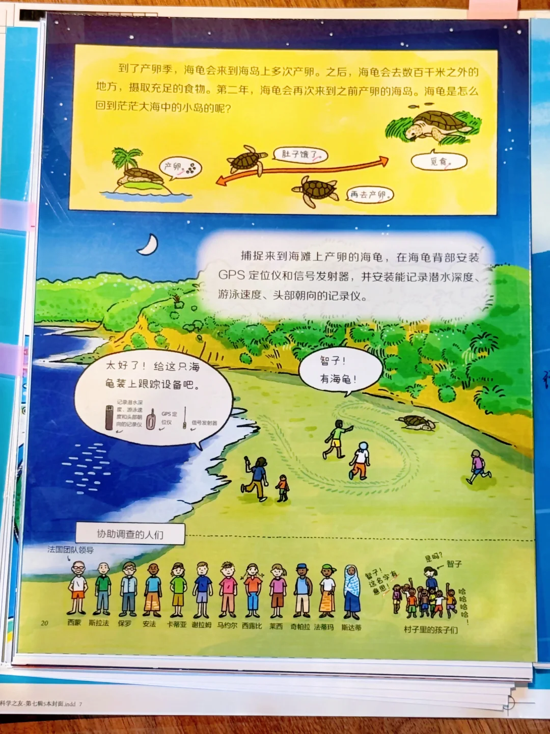 天🤯 这套科普完全已经next level了❕❗️