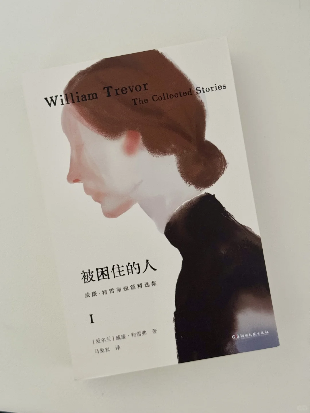 书展有哪些值得注意的新书？