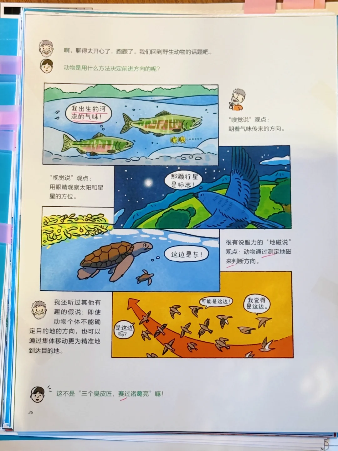 天🤯 这套科普完全已经next level了❕❗️