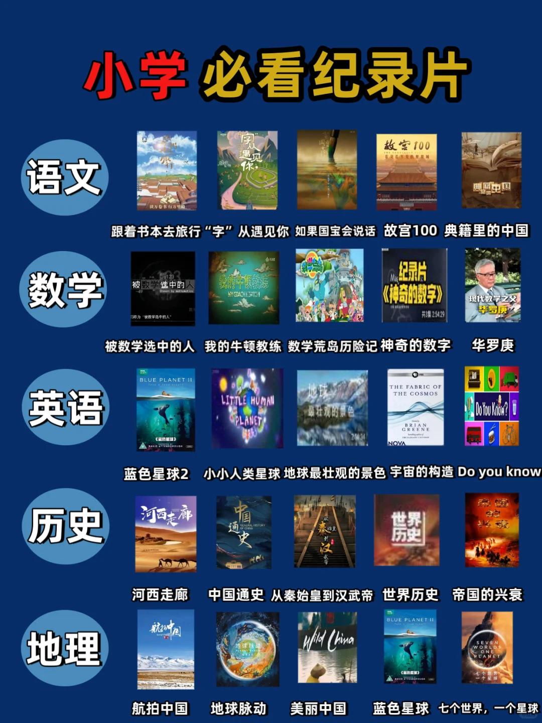 央视神级纪录片！孩子边看边学，格局炸裂✨