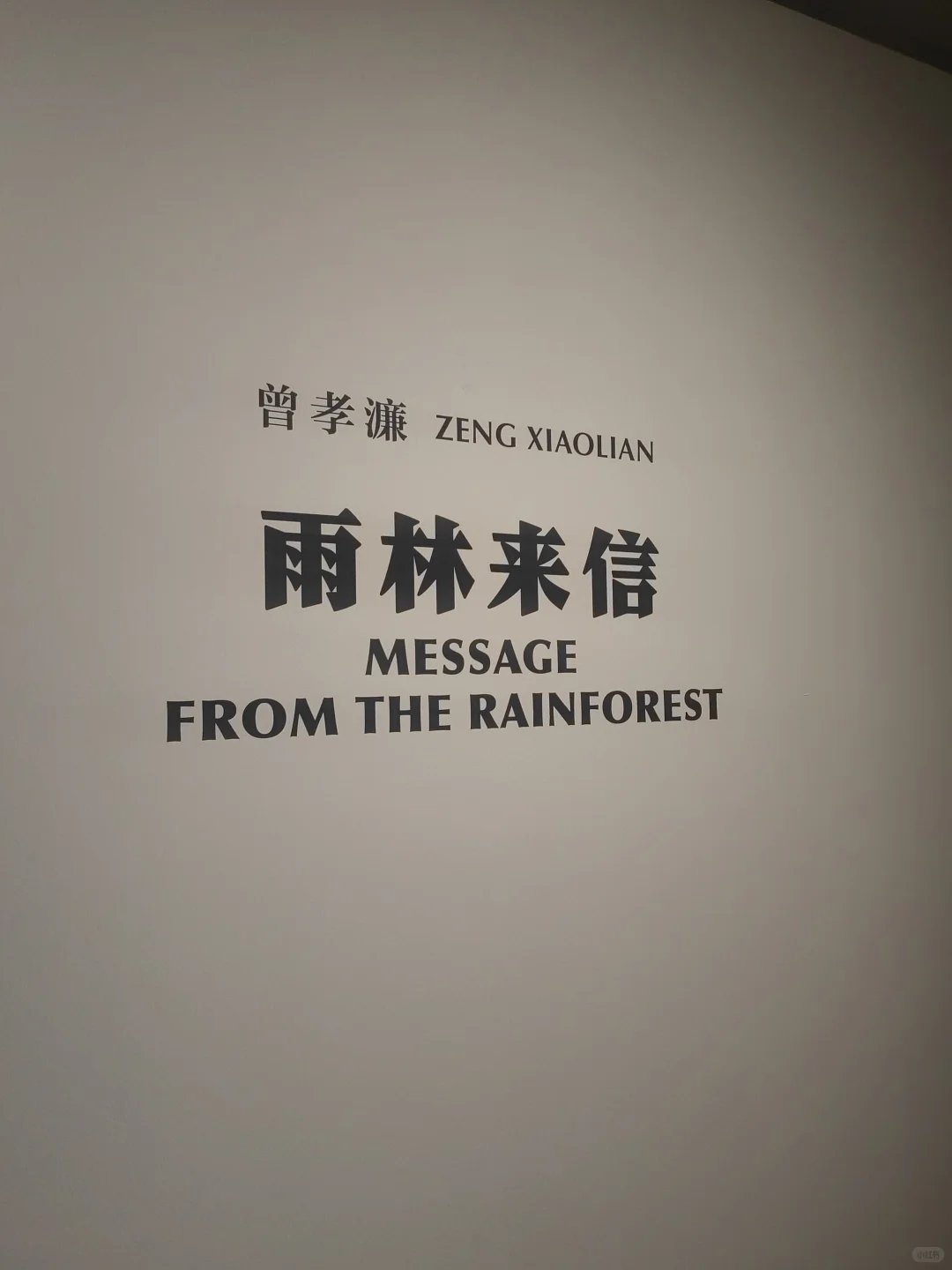 草木有本心｜曾孝濂博物绘画精选