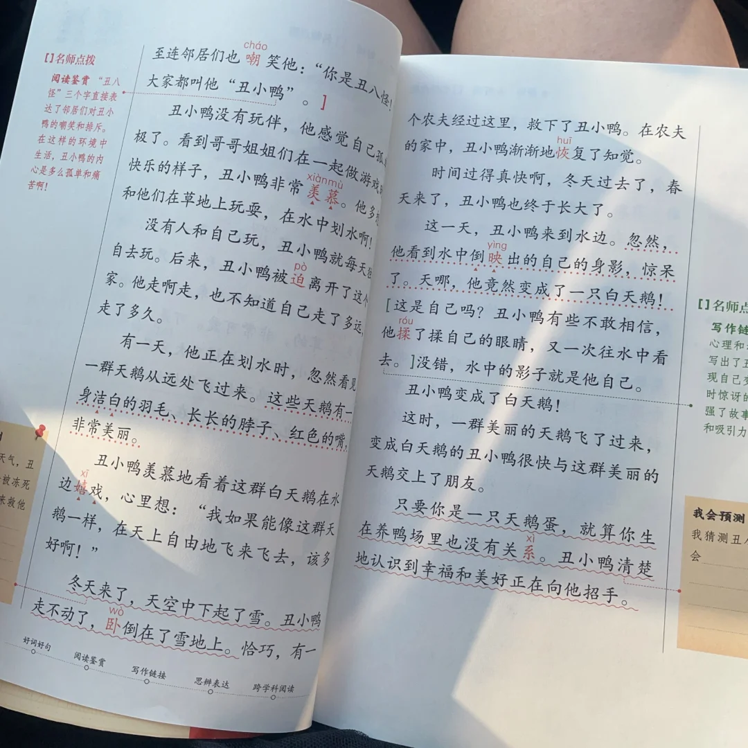 避雷！三年级上册必读课外书📚