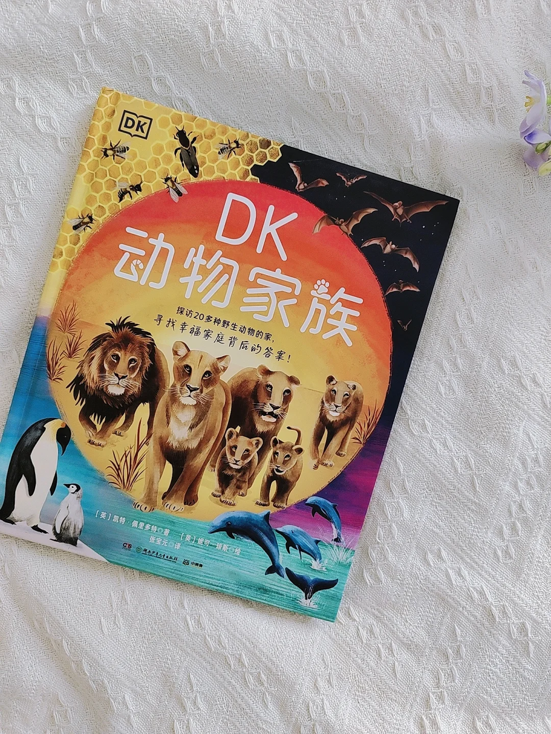 小学生暑假必看！高质量书单来啦‼️