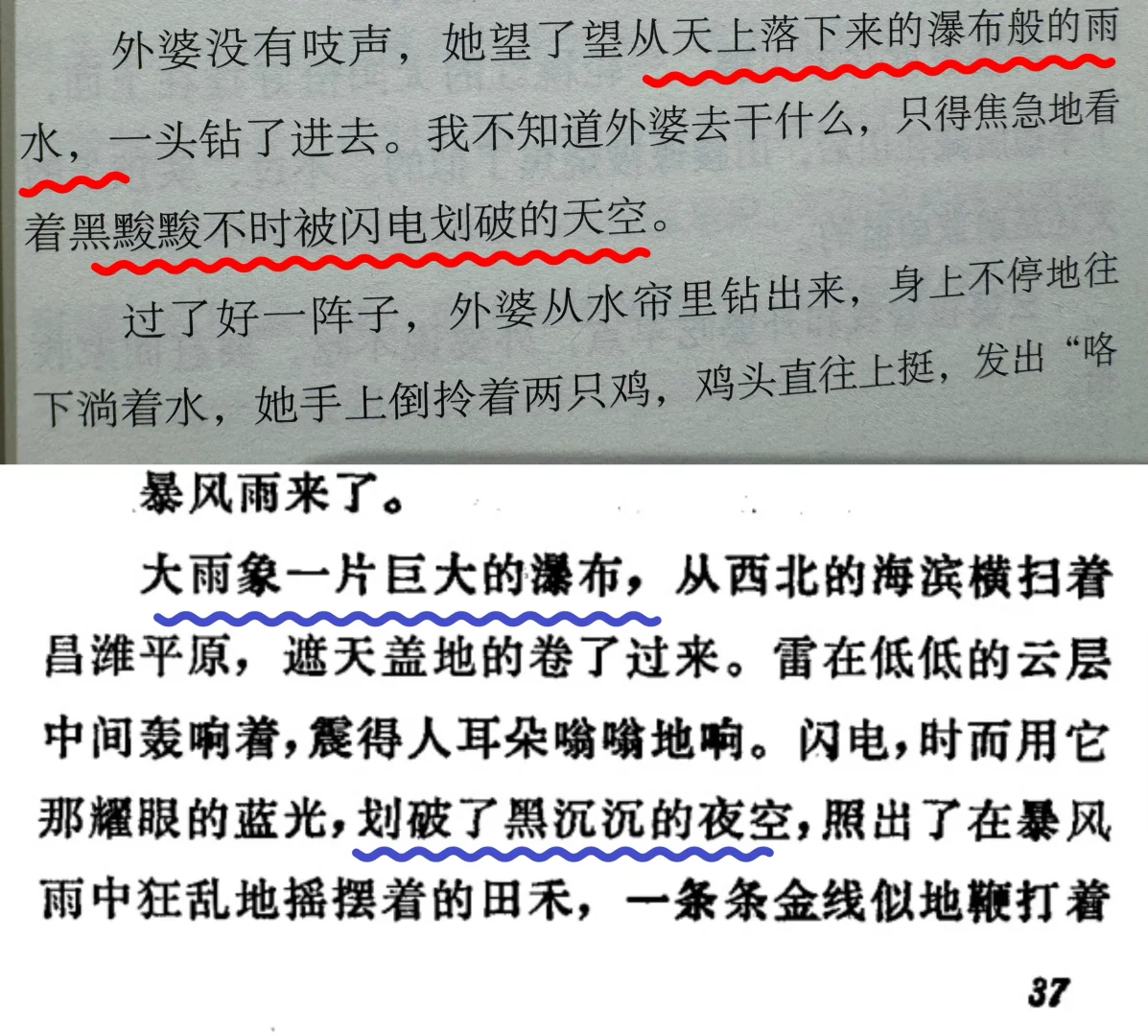 还是低估了《外婆》这本书的离谱程度😱