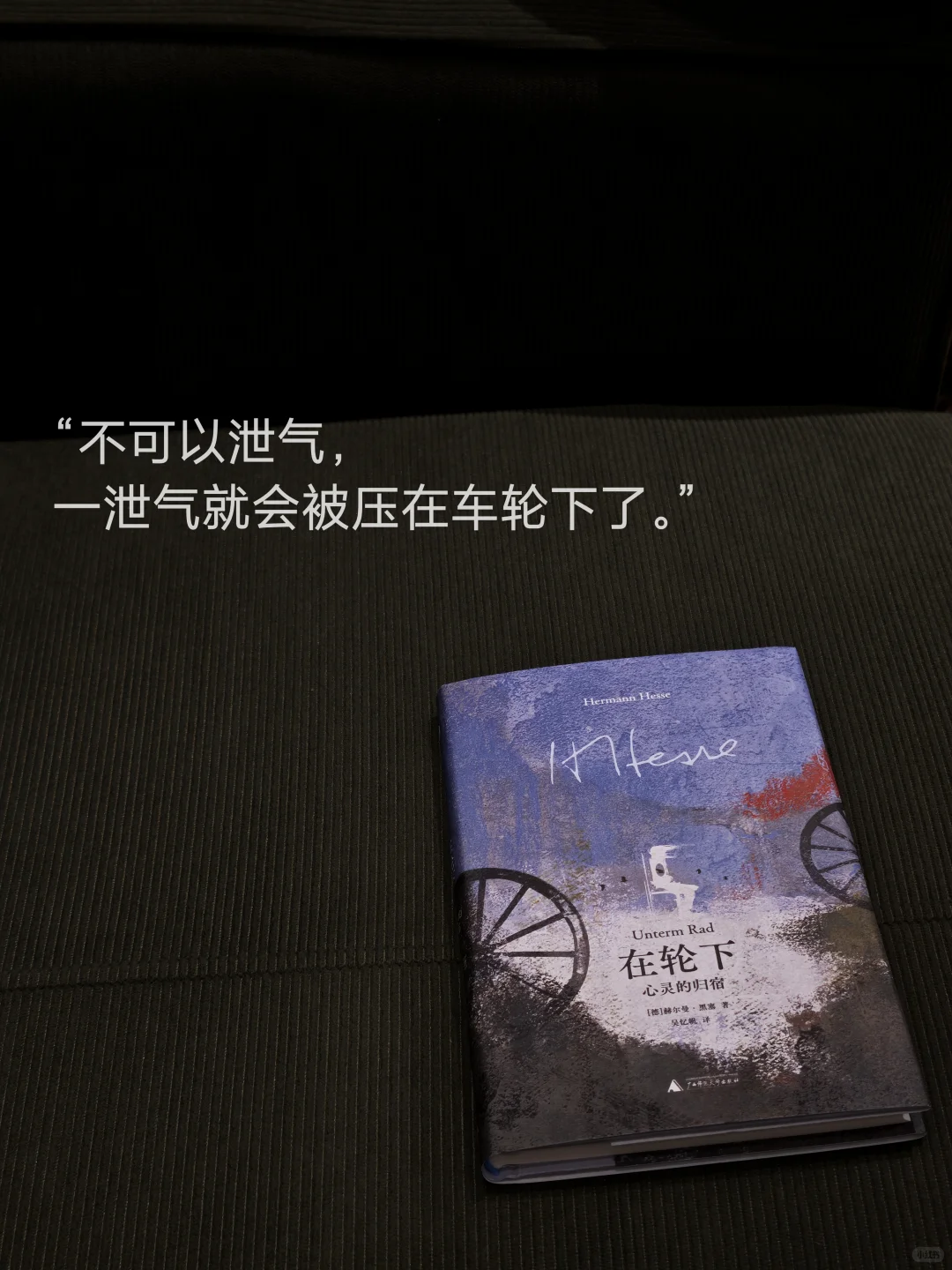 发现一套小众 但绝美的！新版黑塞～