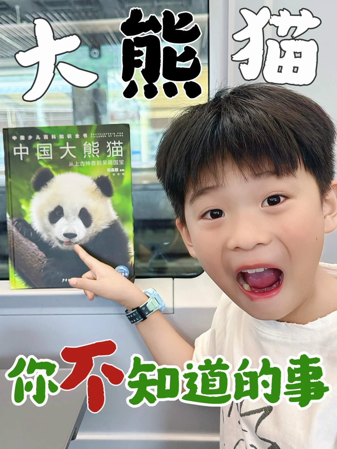 暑假有打算去看大熊猫的一定要看这本书