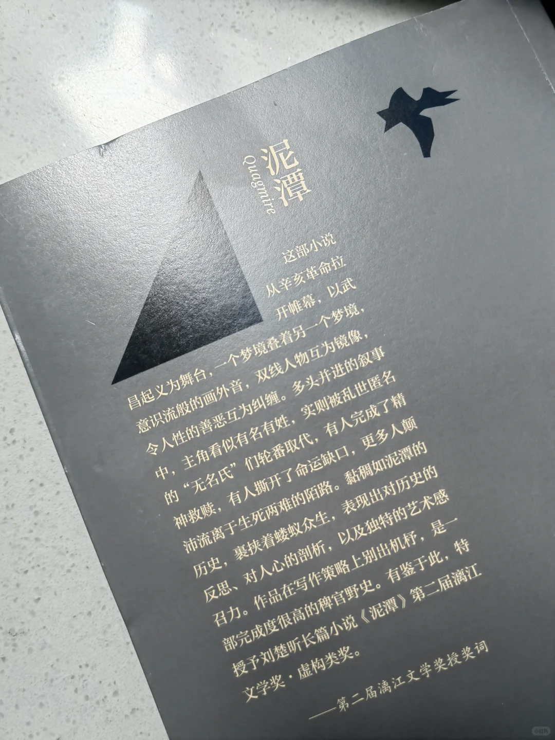 刘楚昕《泥潭》我们都在泥里，却假装在岸上