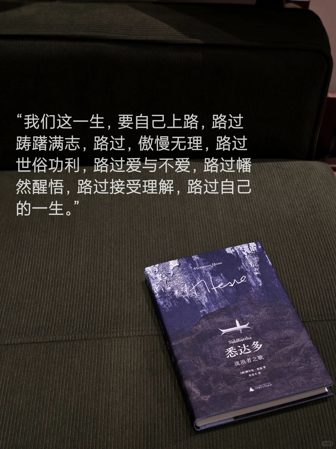 发现一套小众 但绝美的！新版黑塞～