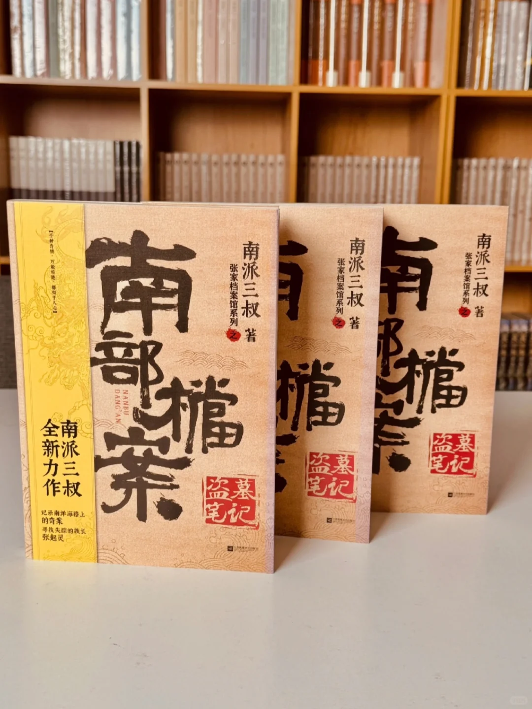 好书推荐|南部档案📖