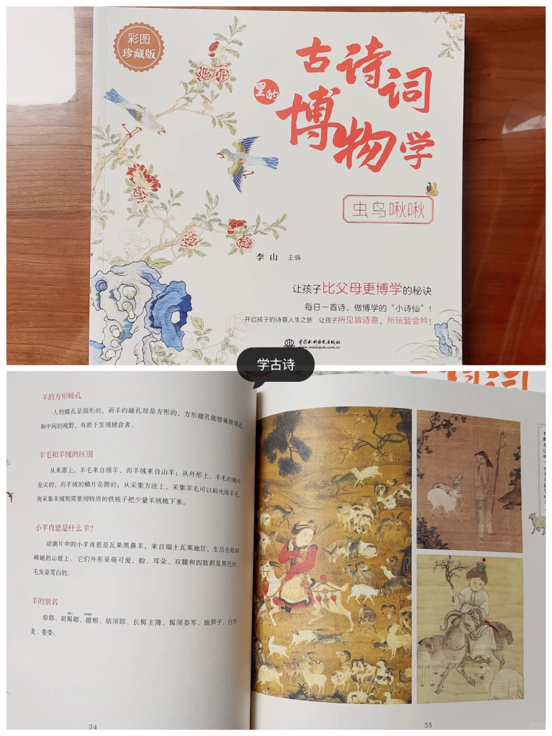 我好像真的功利心很重，就喜欢提升成绩书单