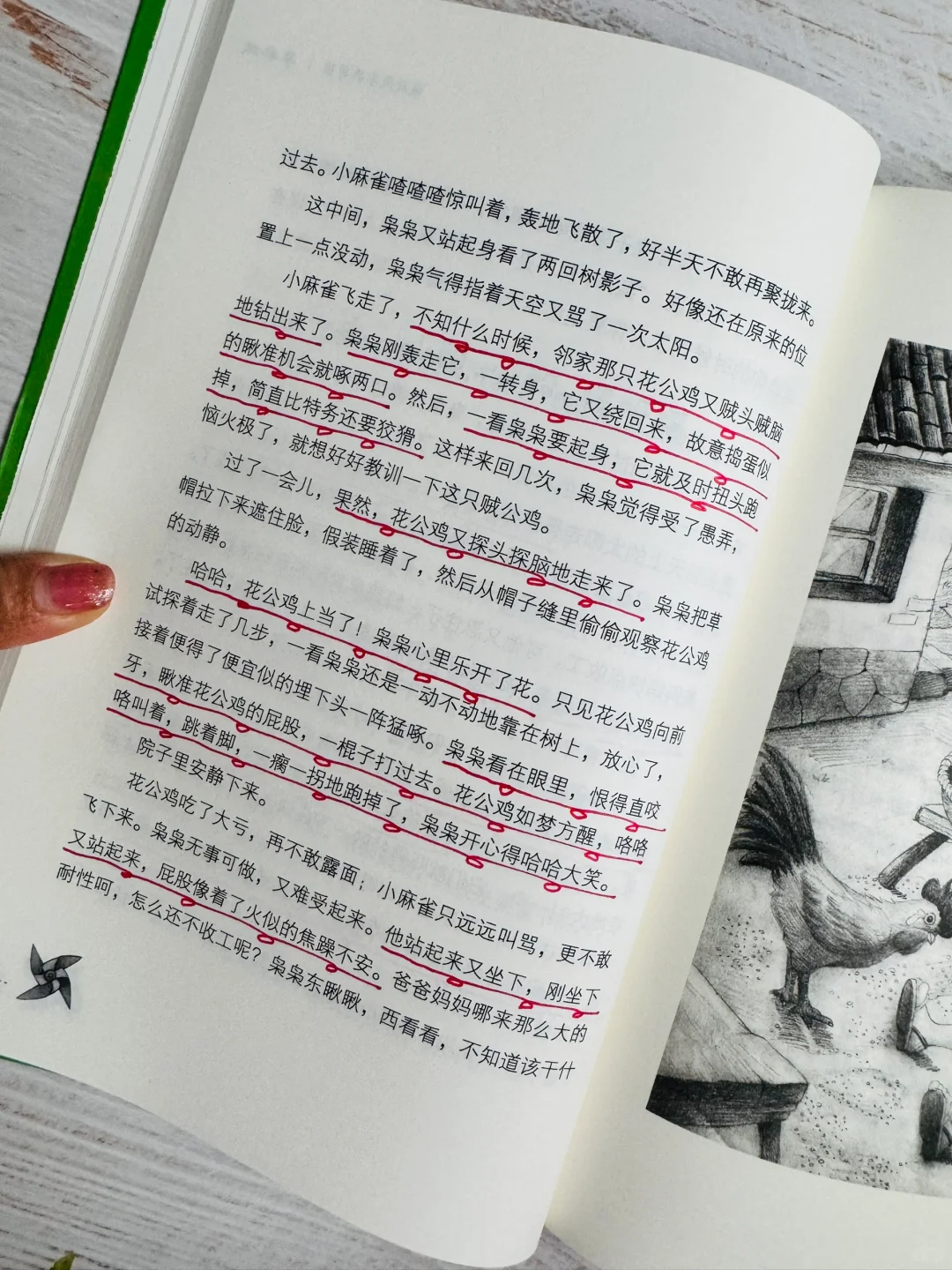 这才是四五年级该看的课外书❗️一读就上瘾🤣