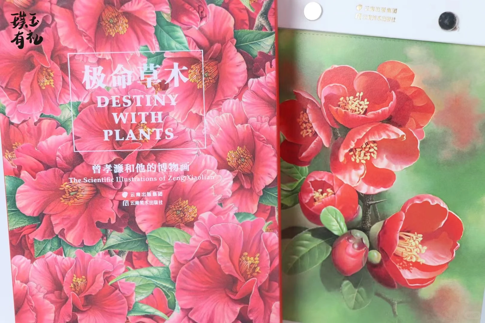 草木有本心｜曾孝濂博物绘画精选