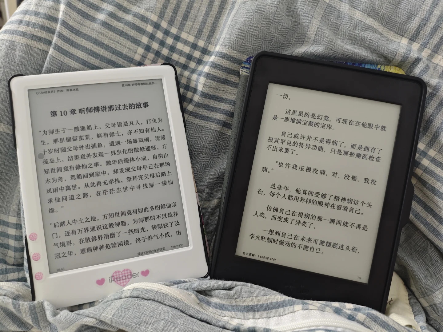 二进宫小绿，我赌对了