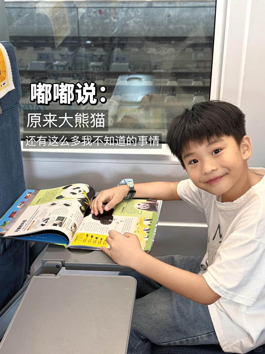 暑假有打算去看大熊猫的一定要看这本书