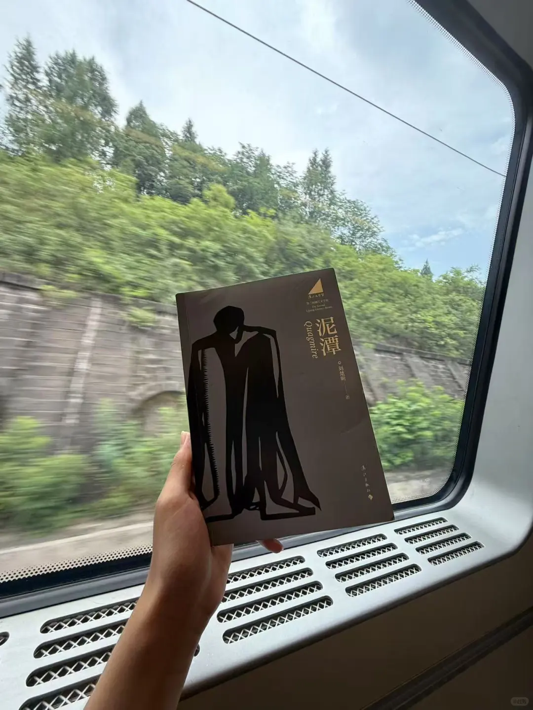 刘楚昕《泥潭》我们都在泥里，却假装在岸上