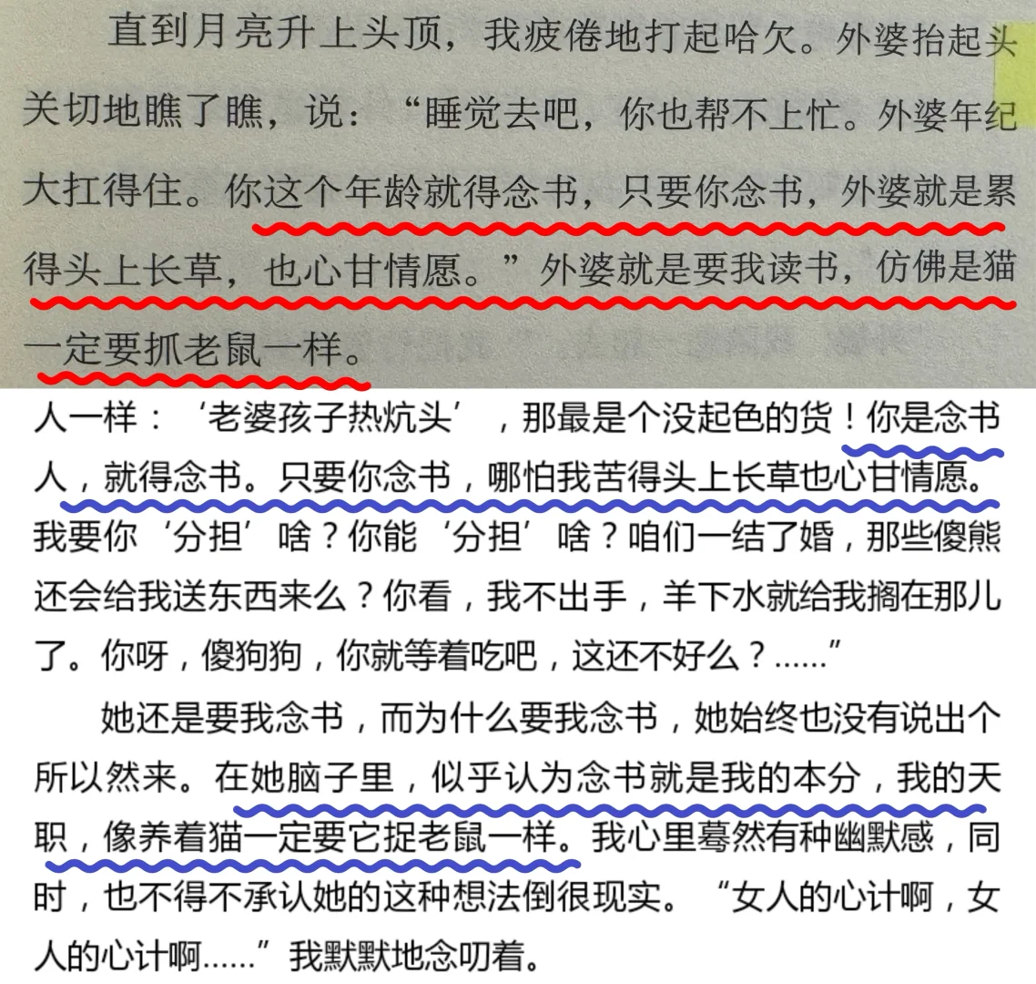 还是低估了《外婆》这本书的离谱程度😱