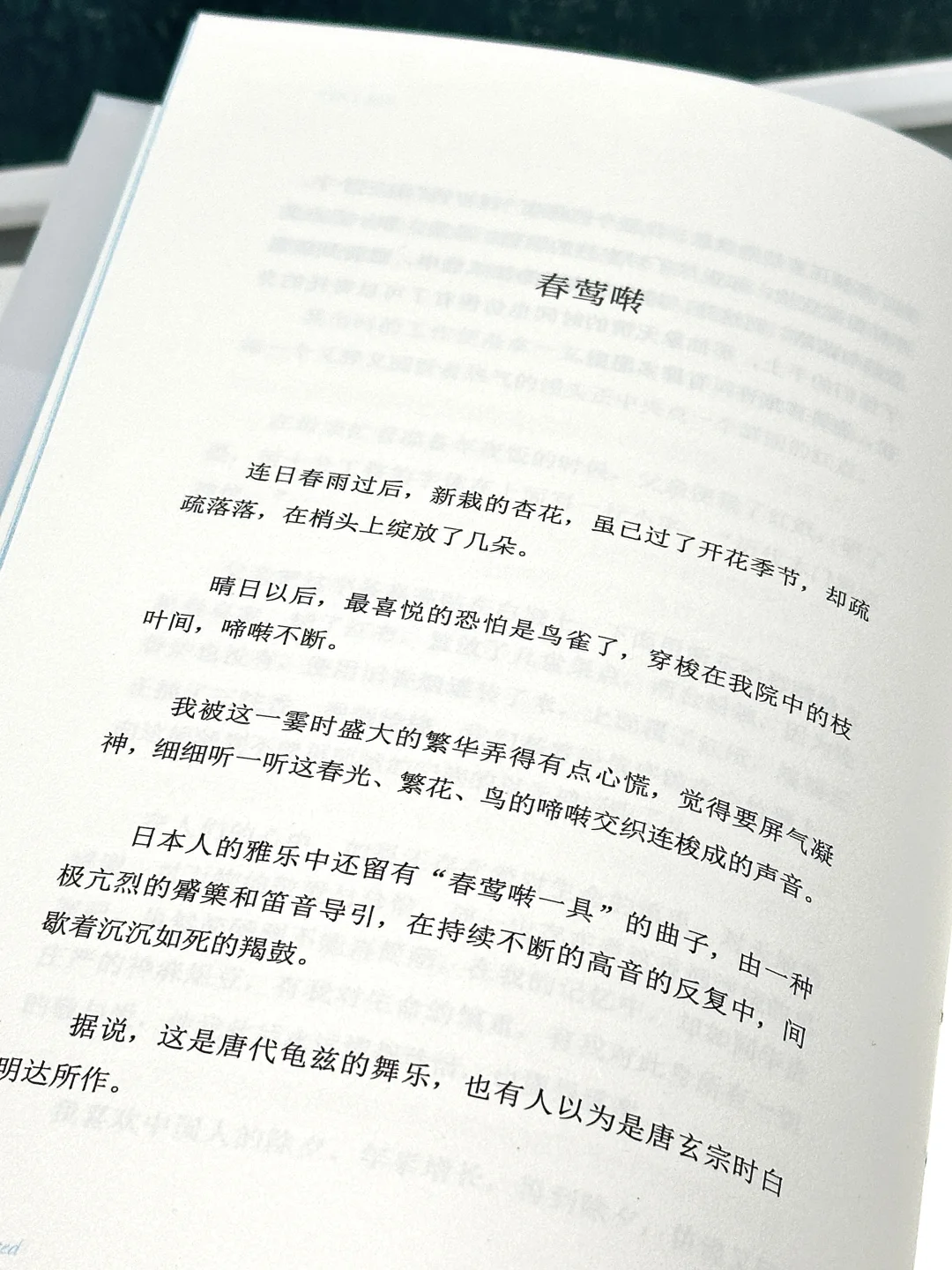 他的文笔美到令人心颤！一字一句都想摘抄！！