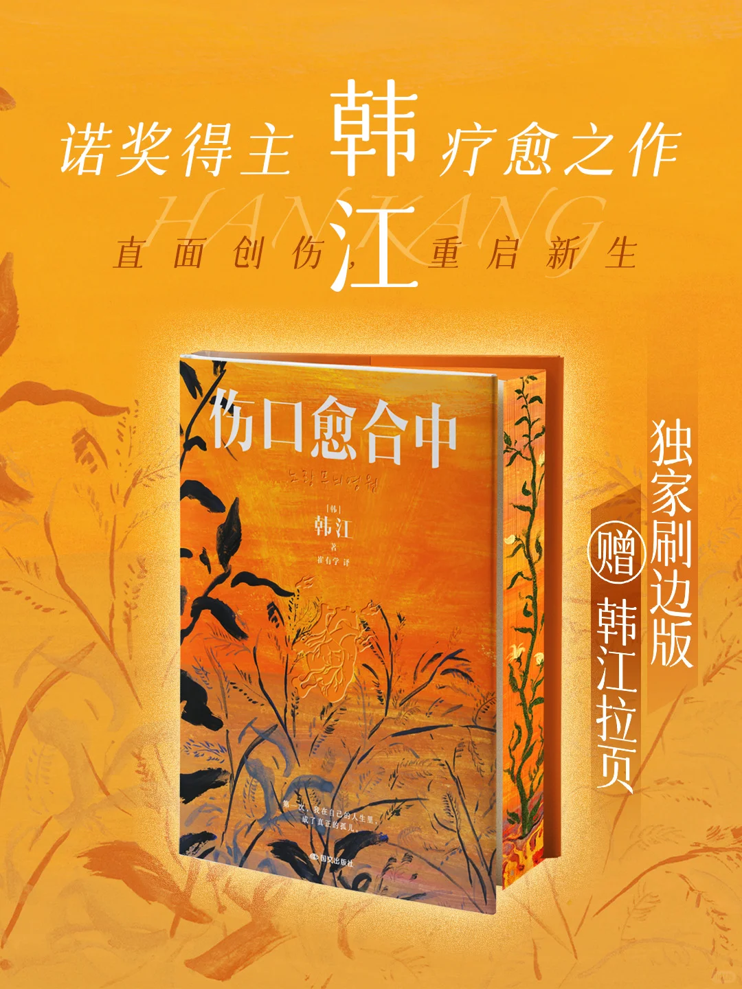 送韩江新书🙌《伤口愈合中》独家刷边来啦