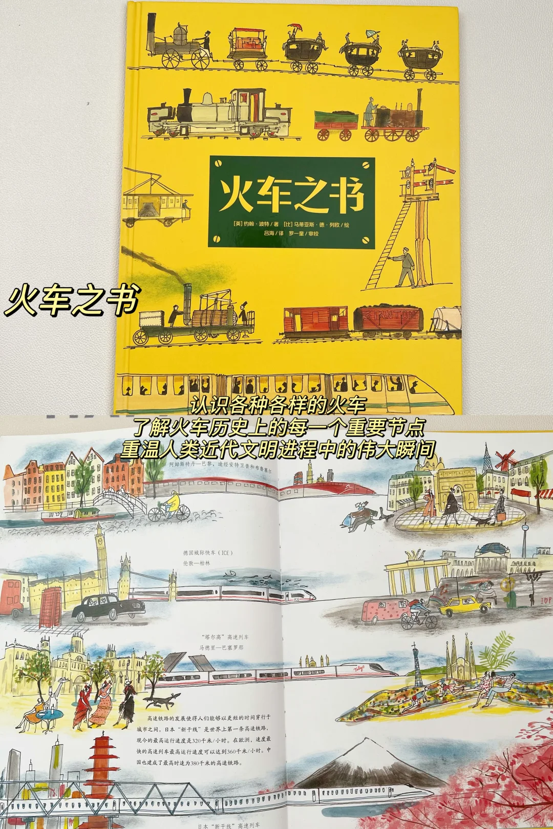 幼儿园大班男娃-2024年度书单🏆中文绘本