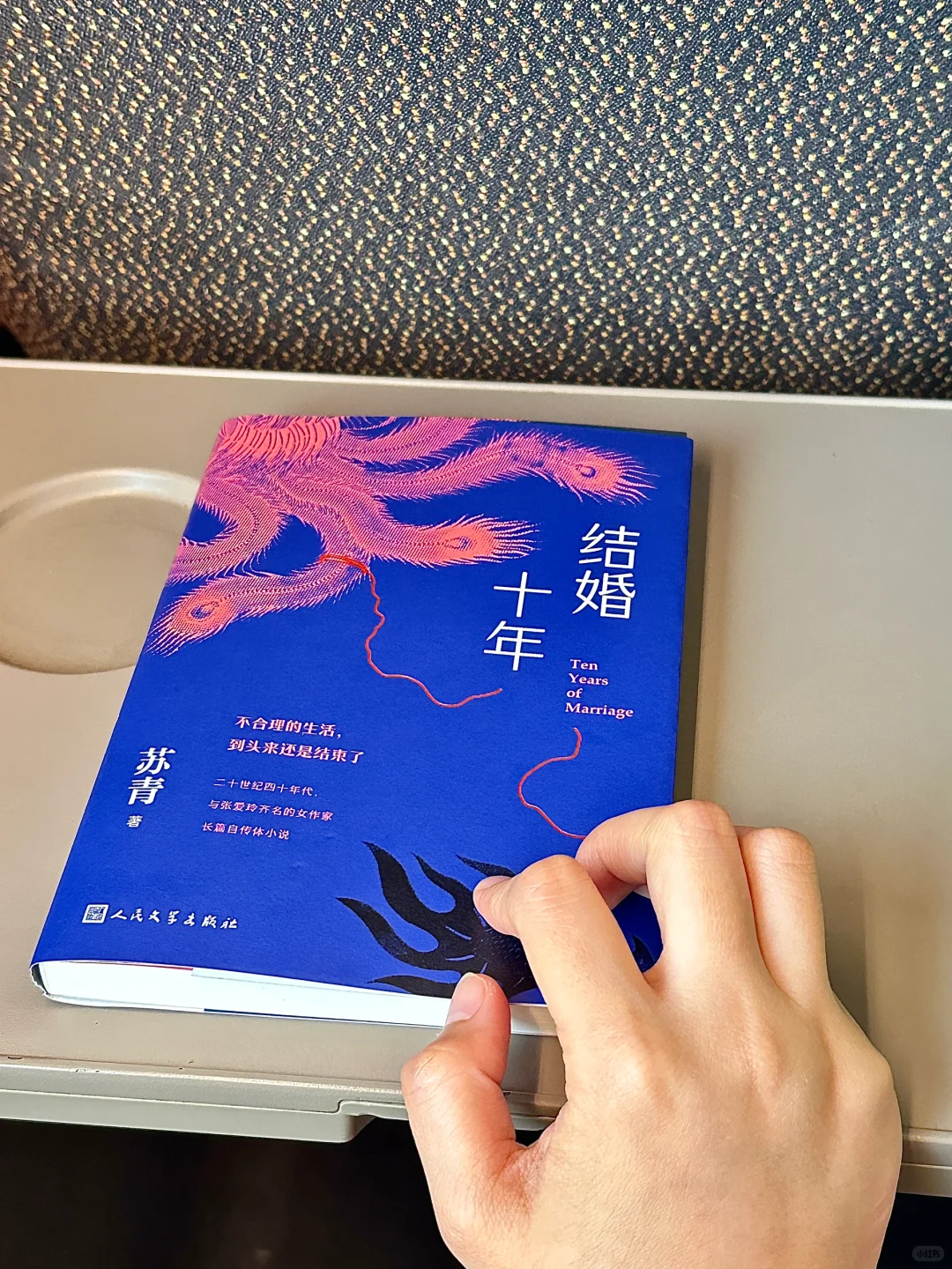 😭在高铁上看哭了！因为写得太真实太窒息……