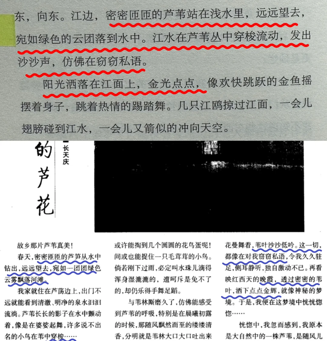 还是低估了《外婆》这本书的离谱程度😱