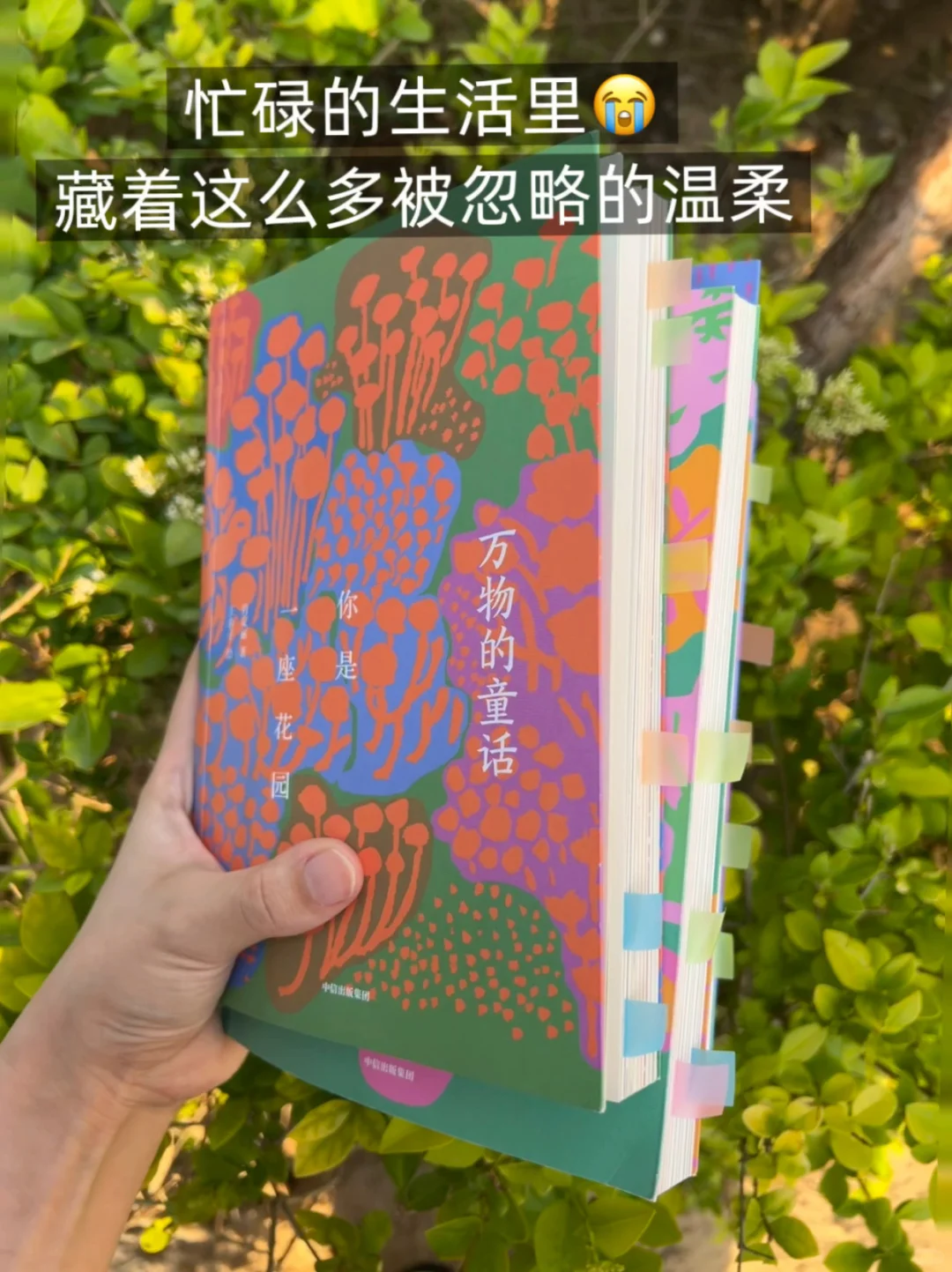 如果世界上有写作宝典，那一定是这本！