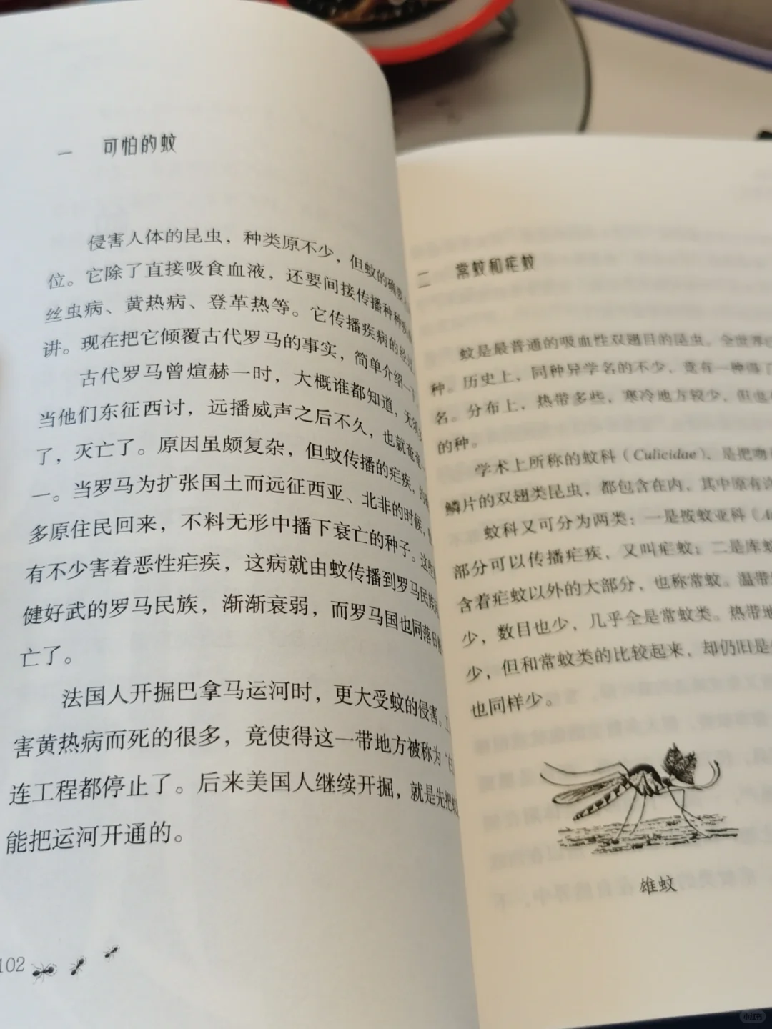 推荐两本有趣的自然动物主题童书！