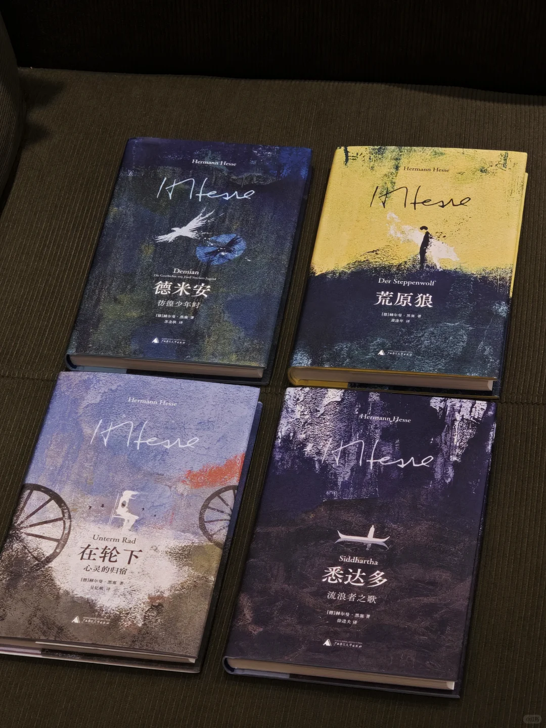 发现一套小众 但绝美的！新版黑塞～