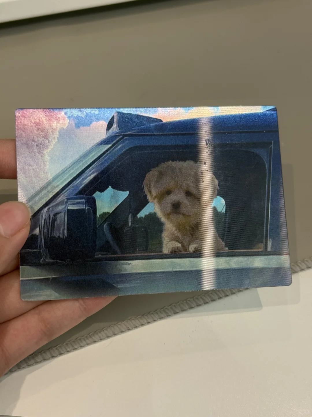 新书！被这只潦草小狗治愈到心巴上了🐕