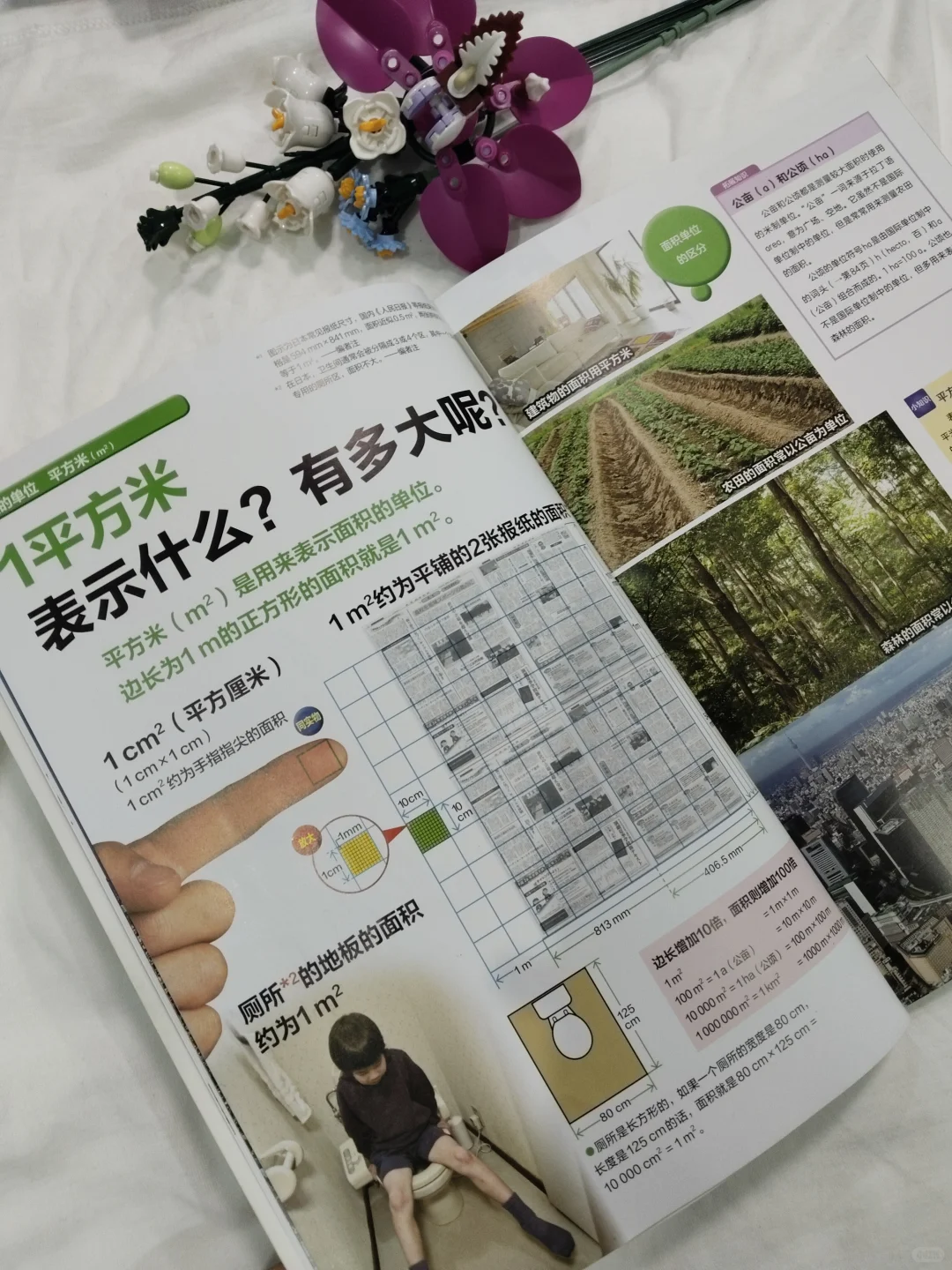 悔哭😫早入这套书，娃数理化早开窍了😍