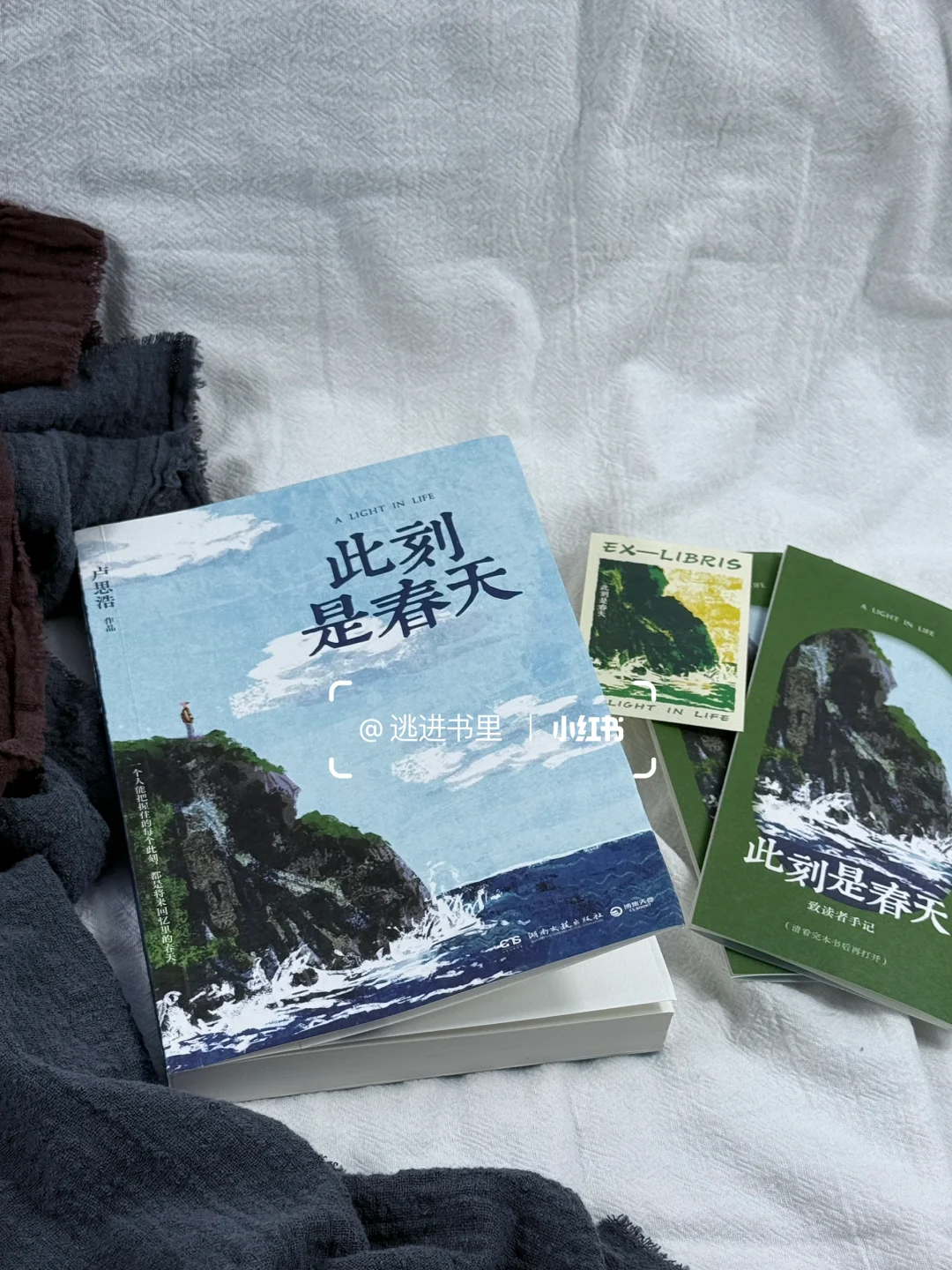 卢思浩新书终于等到！