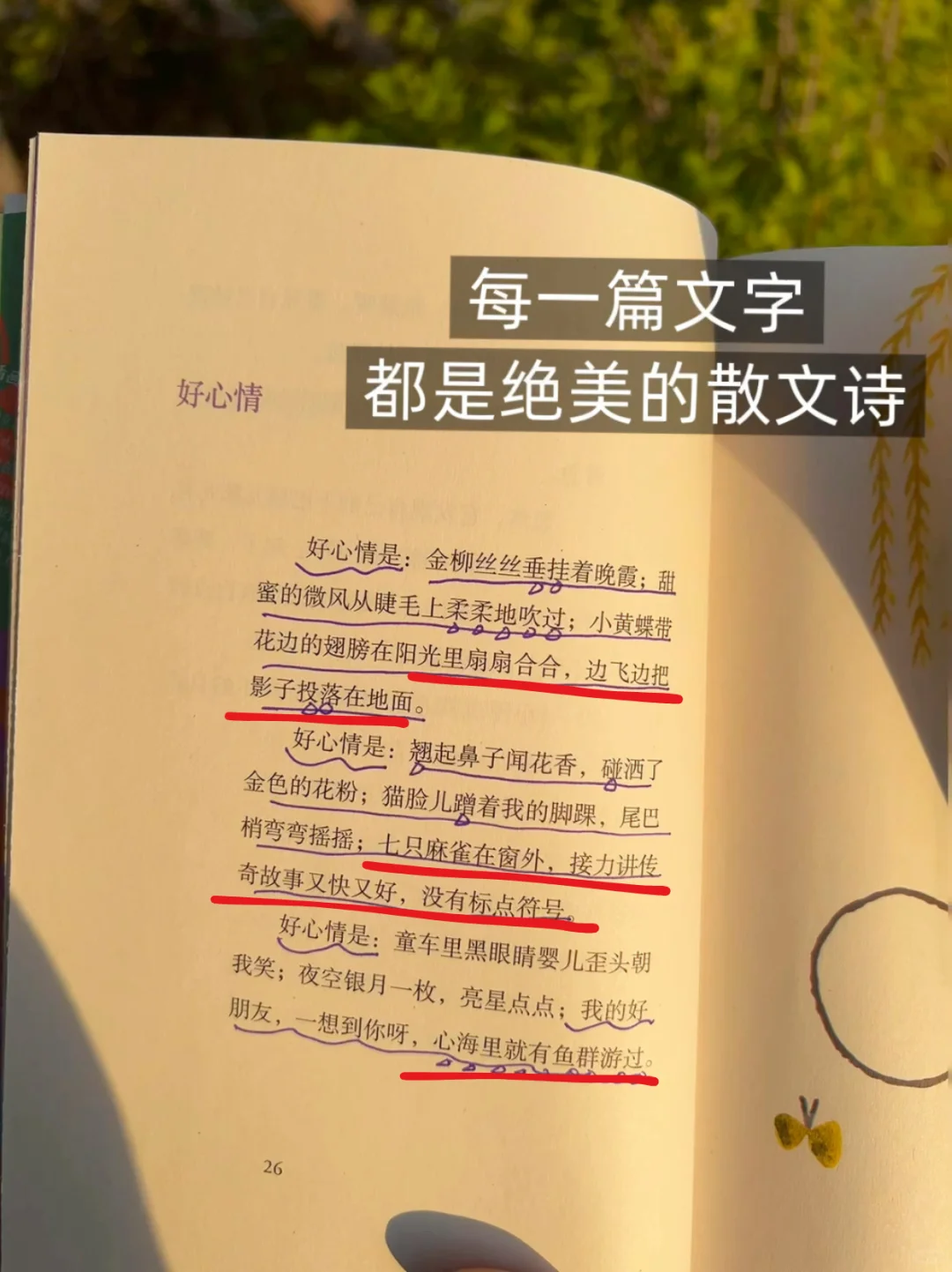 如果世界上有写作宝典，那一定是这本！