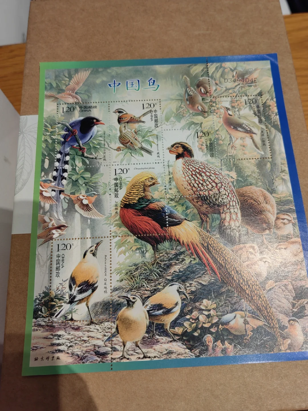 草木有本心｜曾孝濂博物绘画精选