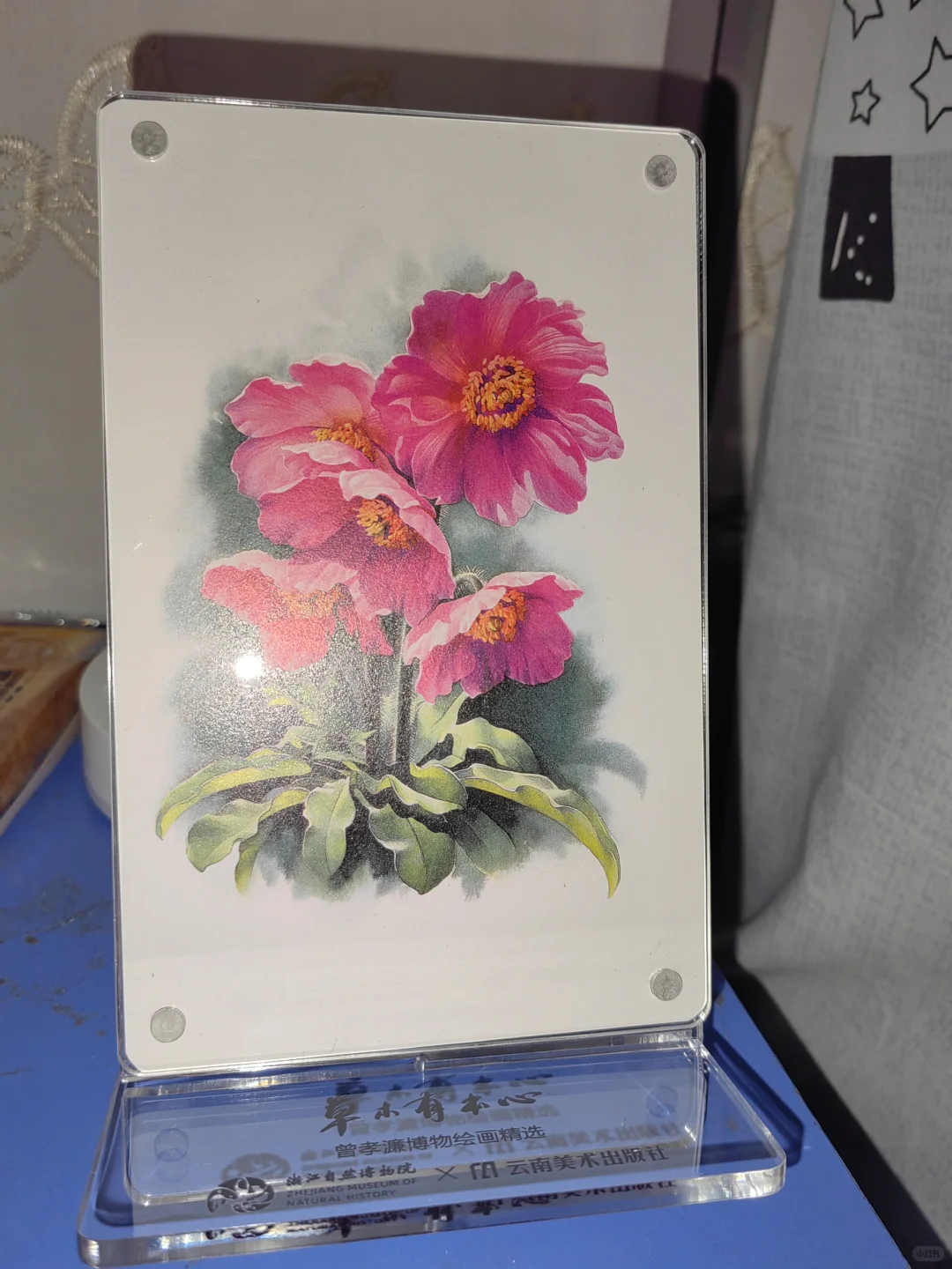 草木有本心｜曾孝濂博物绘画精选