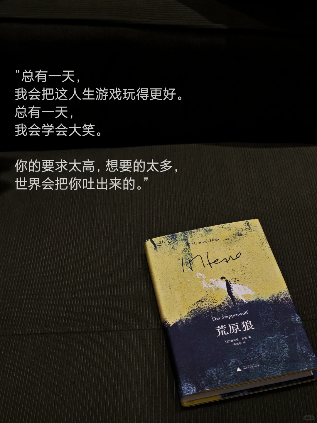 发现一套小众 但绝美的！新版黑塞～