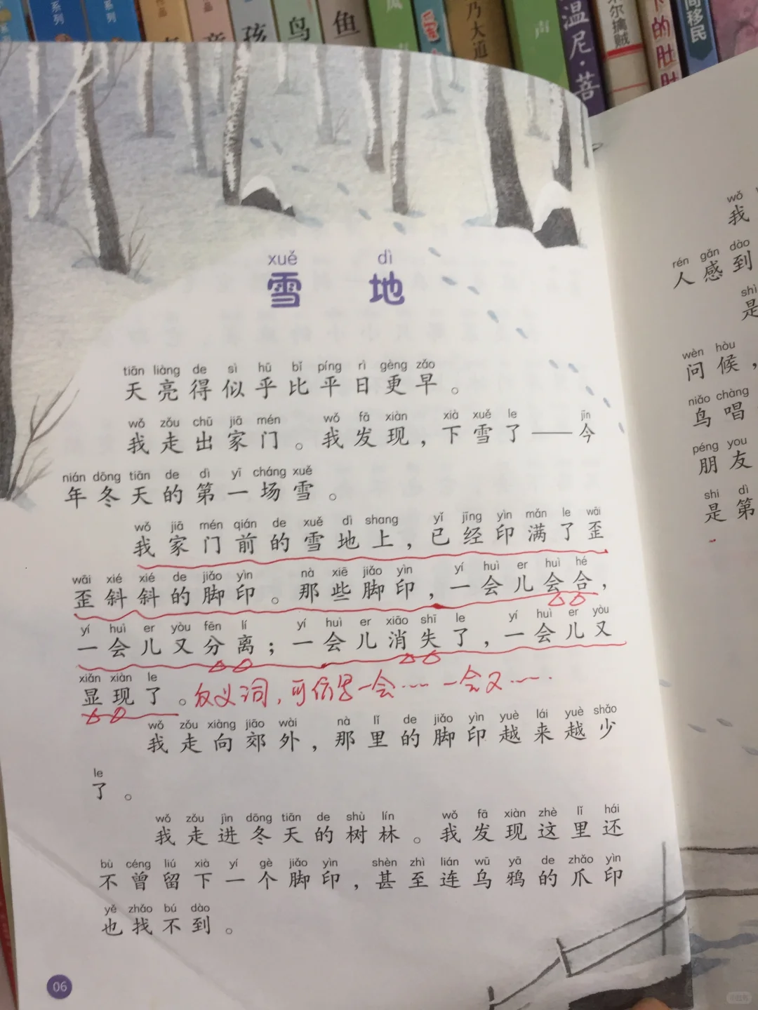 重磅推荐一年级8️⃣月份翻看率超高的书单