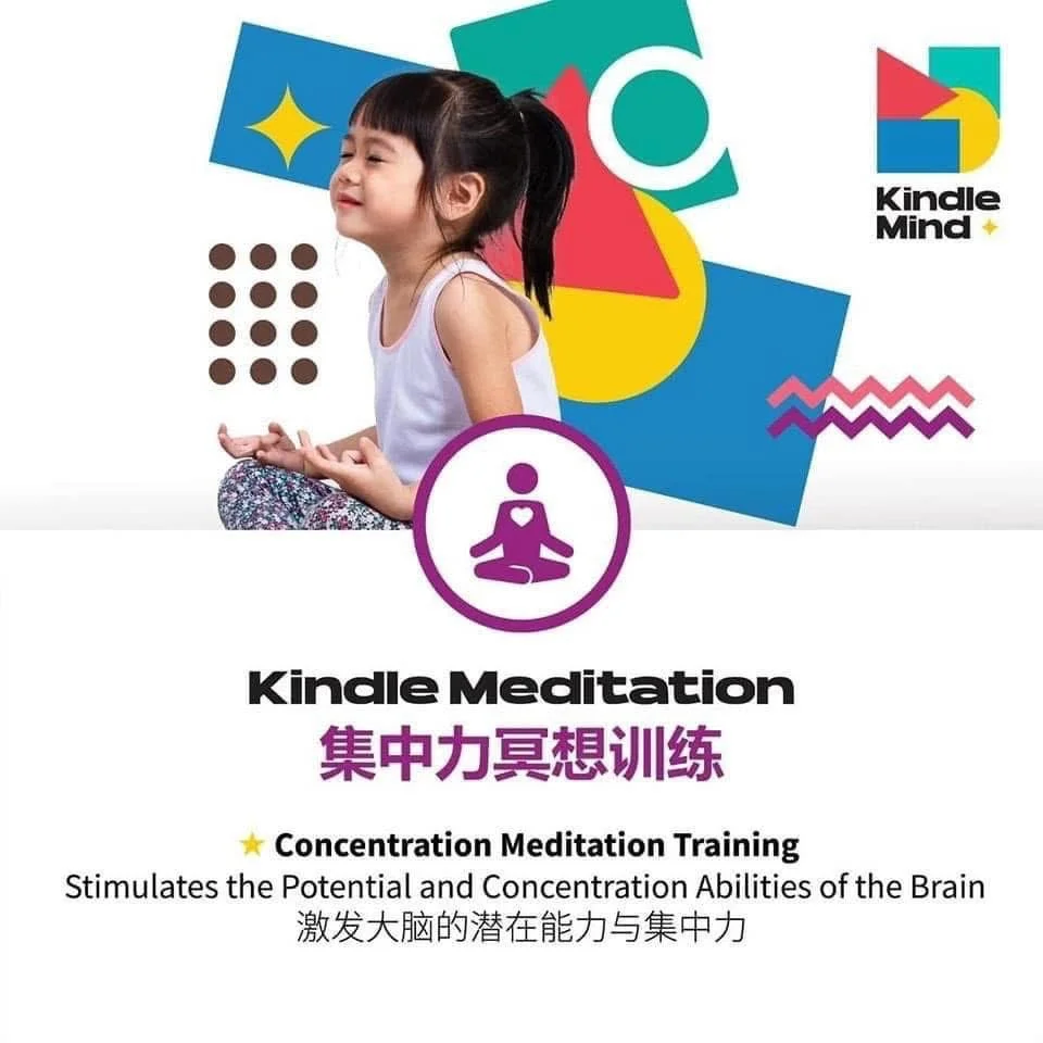 Kindle Mind到底是什么❓
