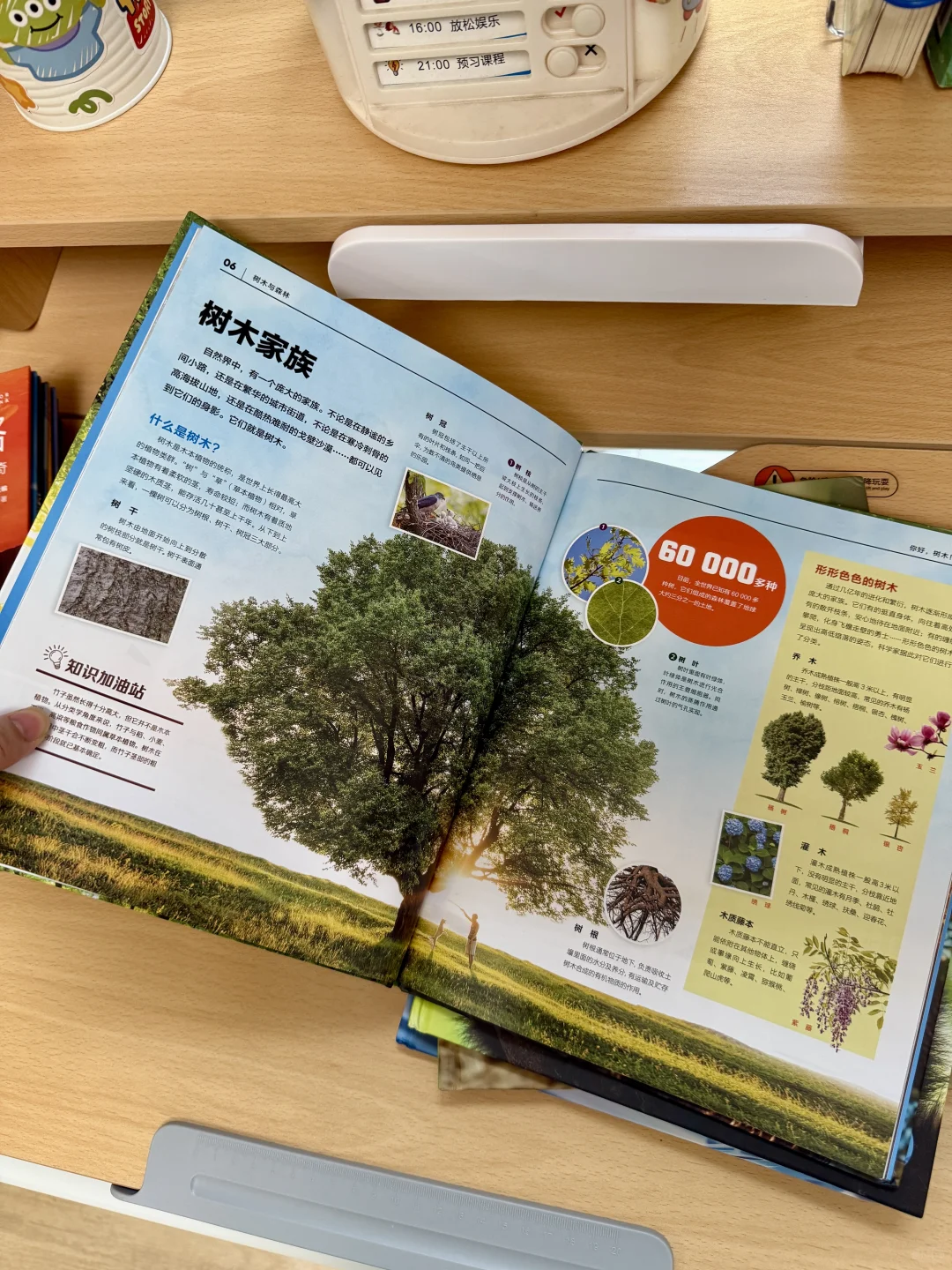 📚闭眼入！少儿百科天花板来了！承包娃的暑假