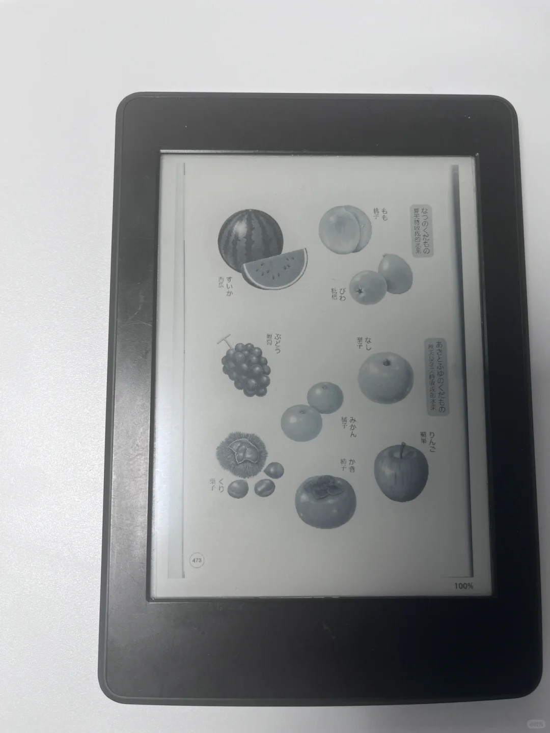 陪了我十年的kindle ，如今大有用处⁉️