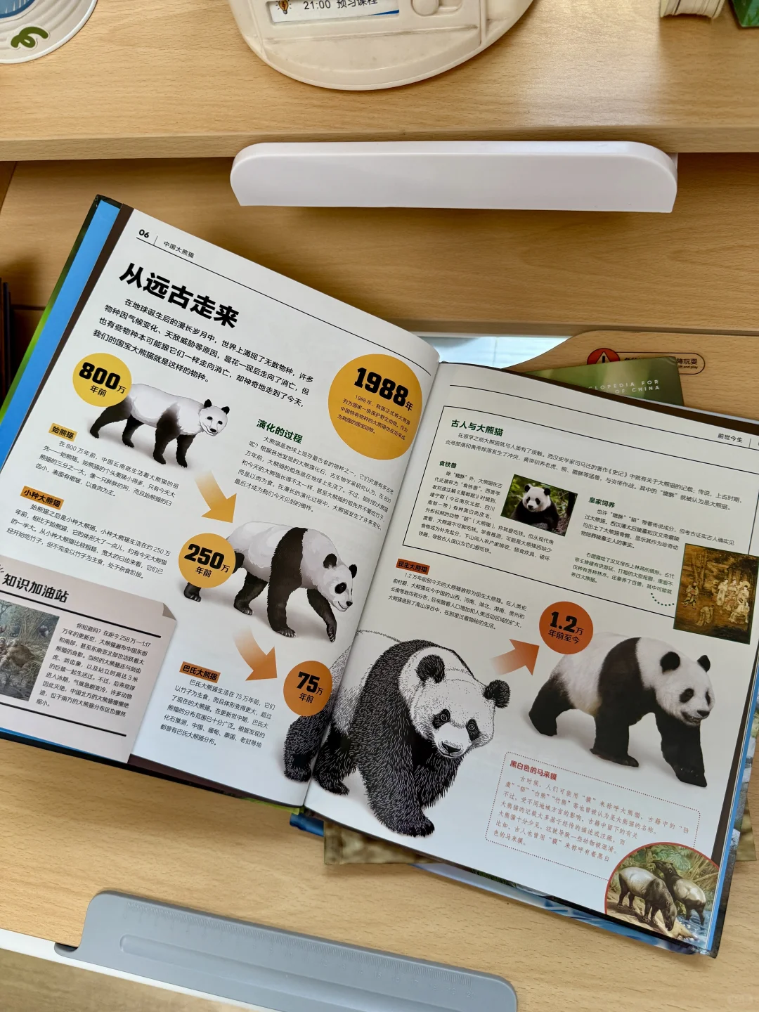 📚闭眼入！少儿百科天花板来了！承包娃的暑假