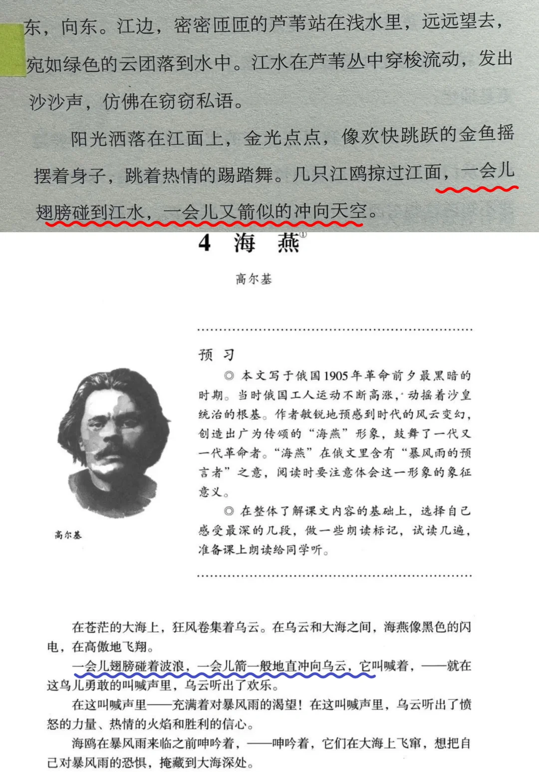 还是低估了《外婆》这本书的离谱程度😱