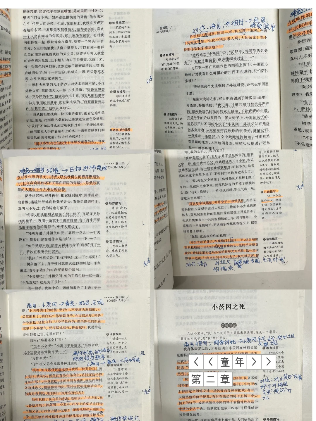 上海小升初《童年》必读/精读笔记